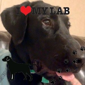 Meet your Posher, Willie